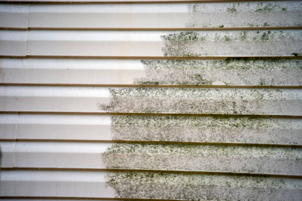 Best Carpet Removal and Disposal  in Crestwood Village, NJ